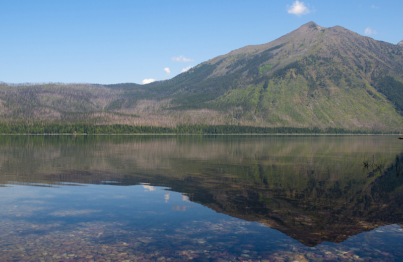 Reflections Of Glacier